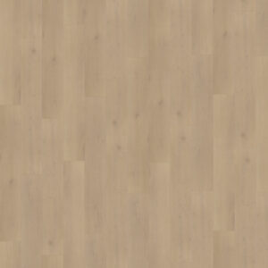 Belakos Traptredenset Palazzo 770